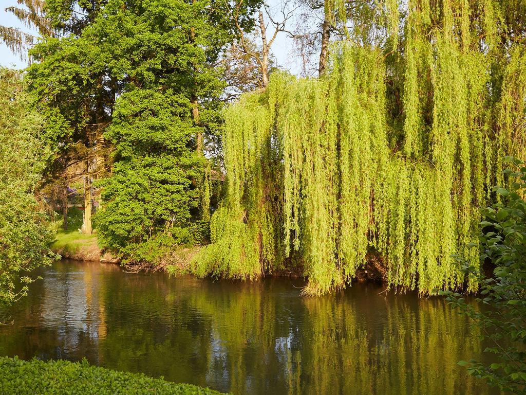 Hotel Les Prés D'ondine Sélestat Esterno foto